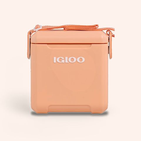Apricot